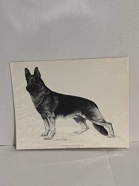 Dog Print Art Print Charcoal Drawing by Gary H. Kokes 11in x 14in